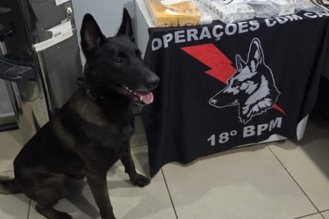 DROGAS PARA CONSUMO PESSOAL