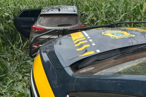 PRF apreende em Paiçandu veículo roubado carregado com maconha